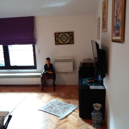 Cozy Apartment Aya In Old Town 塞拉耶佛 客房 照片